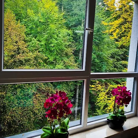 Kurort Kozubnik Wilcza Wataha *