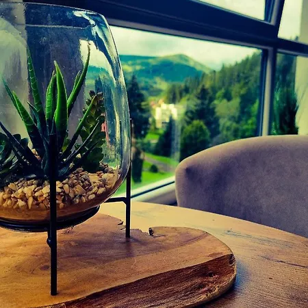 Kurort Kozubnik Wilcza Wataha Apartment *