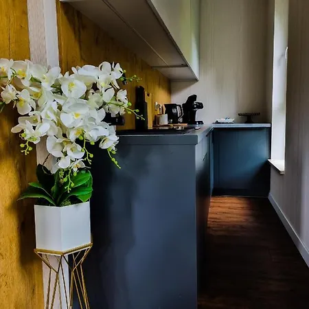 Kurort Kozubnik Wilcza Wataha * Porąbka