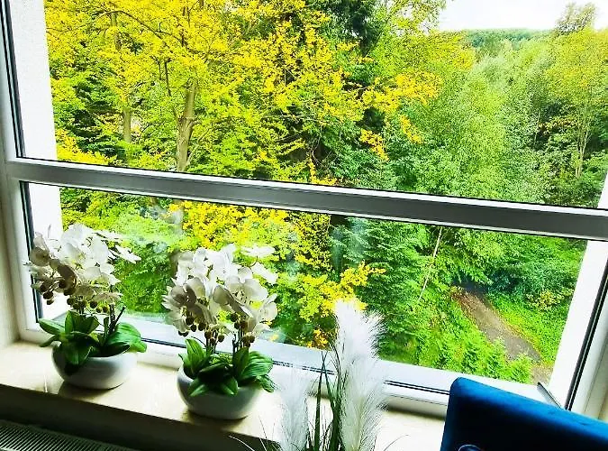 Kurort Kozubnik Wilcza Wataha *