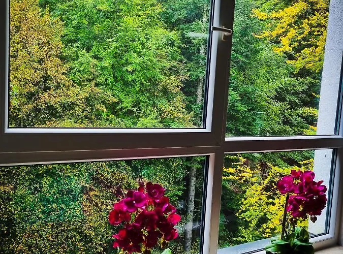 Kurort Kozubnik Wilcza Wataha *